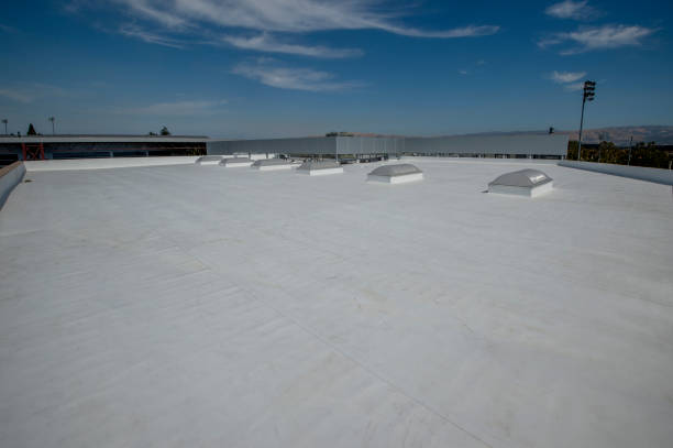 Best Roof Insulation Installation  in Richwood, OH